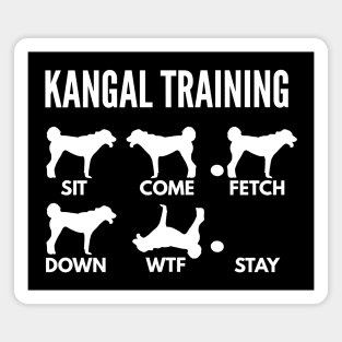 Anatolian Shepherd Training Kangal Shepherd Tricks Magnet